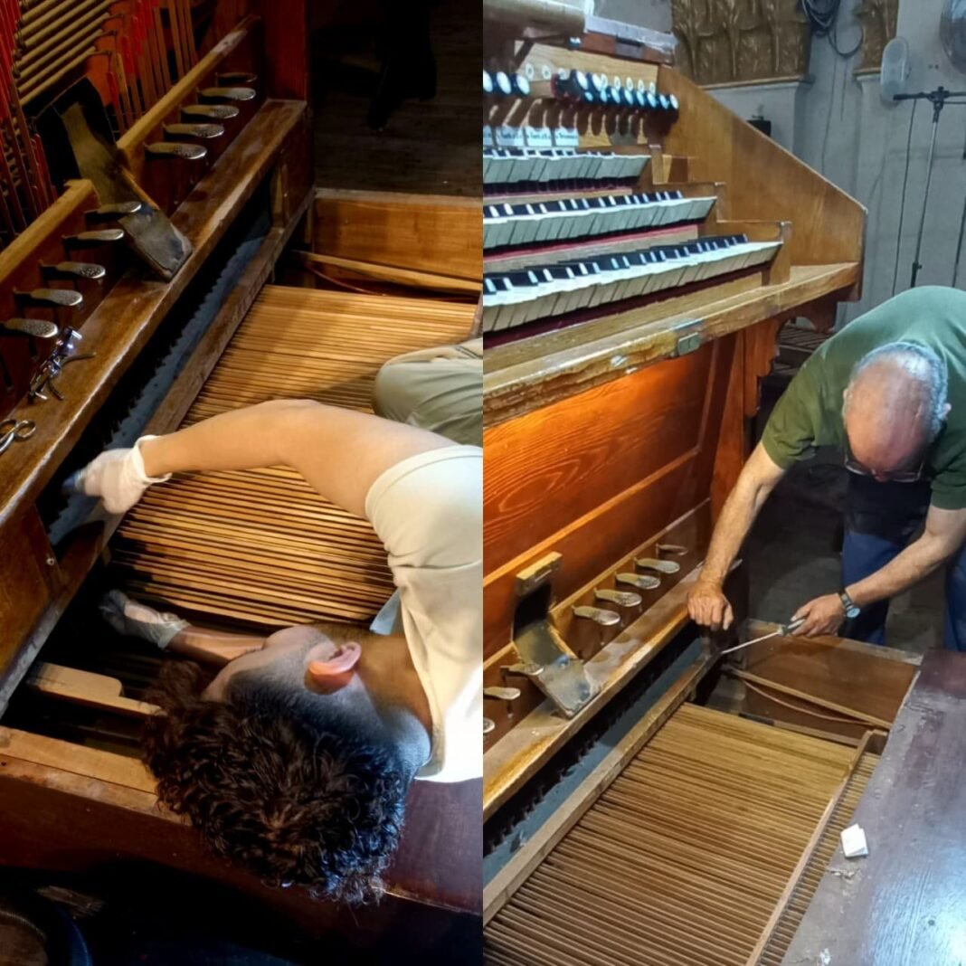 Inician los trabajos de afinación del órgano de la Catedral