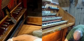 Inician los trabajos de afinación del órgano de la Catedral