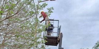 Los Altos Municipio Avanzan con obras de iluminación LED en la jurisdicción municipal