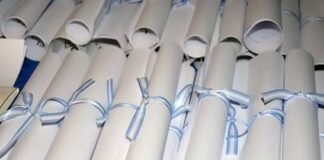 Nuevas ofertas de Educación Superior Técnica con validez nacional