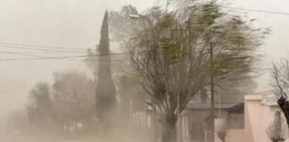 Alertan por fuertes vientos esta tarde: las ráfagas alcanzarán los 100 km/h