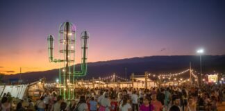 Convocan a expositores para la Feria del Patio – Edición Navidad