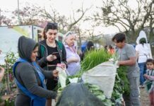 El Mercado Itinerante y el programa Municipio en tu Barrio este miércoles 12 de noviembre a partir de las 16 hs