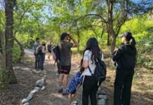 Entretenido avistaje de aves en Pueblo Perdido