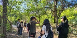 Entretenido avistaje de aves en Pueblo Perdido