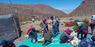La comunidad de La Angostura realizó su Chaku