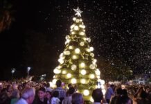 Cultura de la Capital invita a vivir la Navidad en la plaza 25 de Mayo