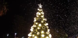 Cultura de la Capital invita a vivir la Navidad en la plaza 25 de Mayo