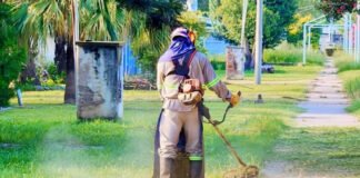 ACCIONES CONTRA EL DENGUE EN LOS ALTOS