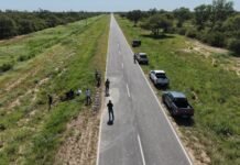 Inspección conjunta en Ruta Provincial N°2 por enormes hormigueros que afectan la obra