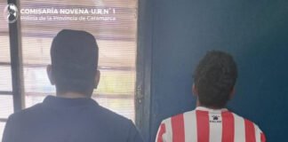 Arrestaron a un joven cuando trasladaba una luminaria del alumbrado público