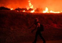 Aumento alarmante de días propensos a incendios en todo el mundo