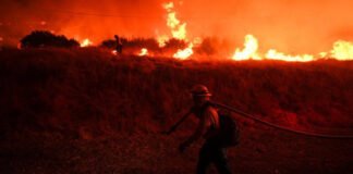 Aumento alarmante de días propensos a incendios en todo el mundo