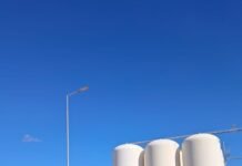 Comenzó la vendimia y entrega de fruto a la mostera en Tinogasta