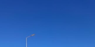 Comenzó la vendimia y entrega de fruto a la mostera en Tinogasta