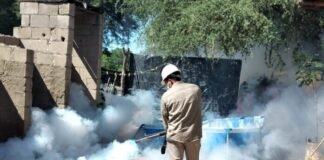 Dengue: cuándo se fumiga y por qué debe acompañarse con la eliminación de criaderos