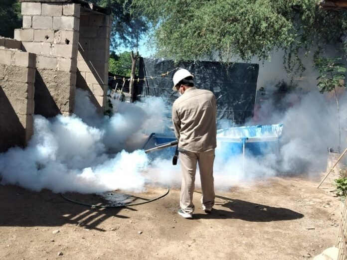 Dengue: cuándo se fumiga y por qué debe acompañarse con la eliminación de criaderos