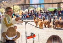 El Gobernador participará de la próxima edición de la Feria de la Puna