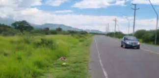 🚨 INDIGNANTE | CRUELDAD QUE DUELE 🚨