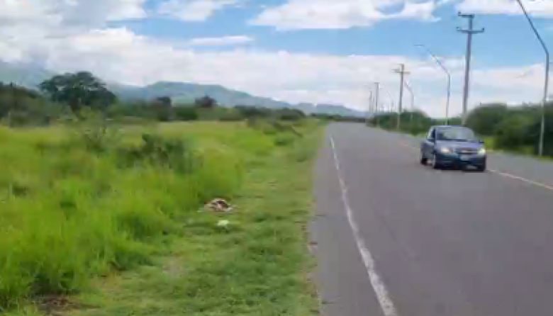 🚨 INDIGNANTE | CRUELDAD QUE DUELE 🚨