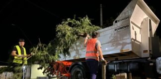 La Capital refuerza el operativo de limpieza, desmalezado y recolección de restos de poda