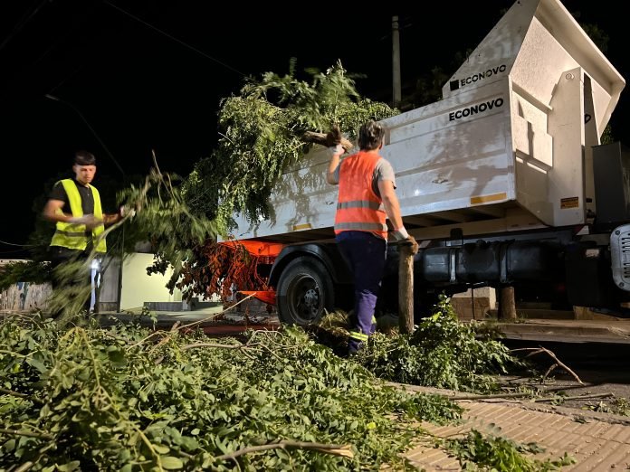 La Capital refuerza el operativo de limpieza, desmalezado y recolección de restos de poda