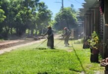 LOS ALTOS MUNICIPIO INTENSIFICA OPERATIVOS DE LIMPIEZA Y PREVENCIÓN DEL DENGUE