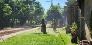 LOS ALTOS MUNICIPIO INTENSIFICA OPERATIVOS DE LIMPIEZA Y PREVENCIÓN DEL DENGUE