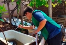 Siguen las acciones contra el Dengue en la Capital