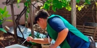 Siguen las acciones contra el Dengue en la Capital