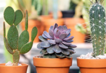 Abril llega con nuevos talleres en la Casa de la Cultura