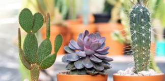 Abril llega con nuevos talleres en la Casa de la Cultura