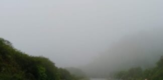 Derrumbes y niebla: piden circular con precaución en rutas provinciales