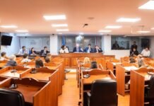 Diputados avanzan en el análisis de proyectos sobre reiterancia delictiva y banco de perfiles genéticos