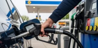 El Gobierno permitirá agregarle más bioetanol a las naftas para frenar la suba de precios