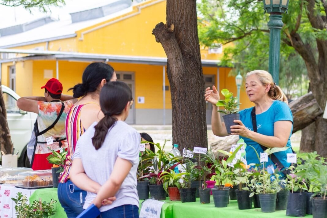 El Mercado Itinerante regresa a Valle Chico