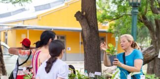 El Mercado Itinerante regresa a Valle Chico