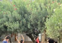 Formarse para crear, comunicar y enseñar: inscripciones abiertas en ISAC