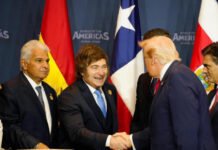 Milei llega a Nueva York en busca de captar inversiones en el Argentina Week