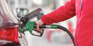 Para frenar las subas, el Gobierno anunció cambios en la conformación de las naftas