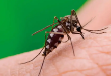 Salud confirmó el primer caso de chikungunya en Catamarca