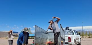 Se abonó el subsidio provincial a productores de uva