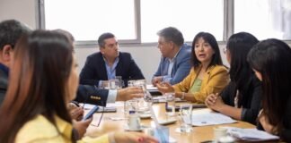 AVANCE EN EL ANÁLISIS DE PROYECTOS CLAVE Senadores Catamarca, comision