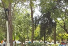 Belén celebró su primer matrimonio igualitario: un “sí” que abraza derechos y construye igualdad