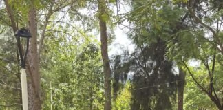 Belén celebró su primer matrimonio igualitario: un “sí” que abraza derechos y construye igualdad