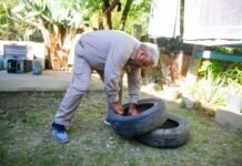 Control focal y descacharrado: cronograma semanal