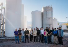 En Tinogasta se van procesando más de 6 millones de kilos de uva