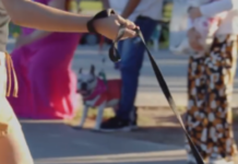 🎉🐾 Gran jornada recreativa en la previa del Día del Animal y el Día del Emprendedor 🐾🎉