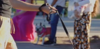 🎉🐾 Gran jornada recreativa en la previa del Día del Animal y el Día del Emprendedor 🐾🎉