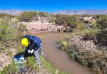 Fiambalá: recuperan recurso hídrico tras el vuelco de camión con salmuera